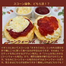 画像をギャラリービューアに読み込む, 『北浜レトロ』スコーン詰め合わせセット6個入り　オリジナル保冷バッグ付き　数量限定 　[冷凍便]
